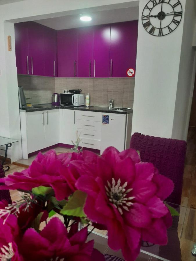 Family Apartment Near Old Town โมสตาร์ ภายนอก รูปภาพ